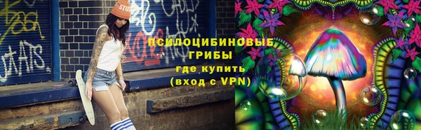 МДПВ Богданович