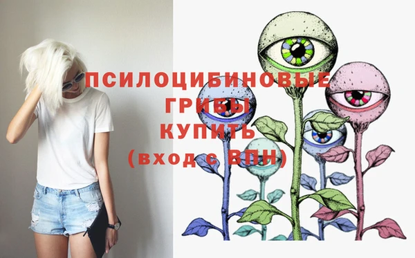 МДПВ Беломорск